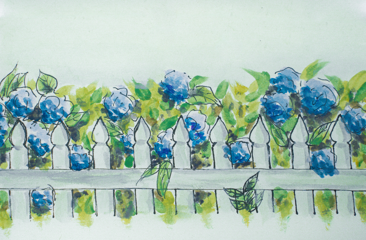 Hydrangea Row
