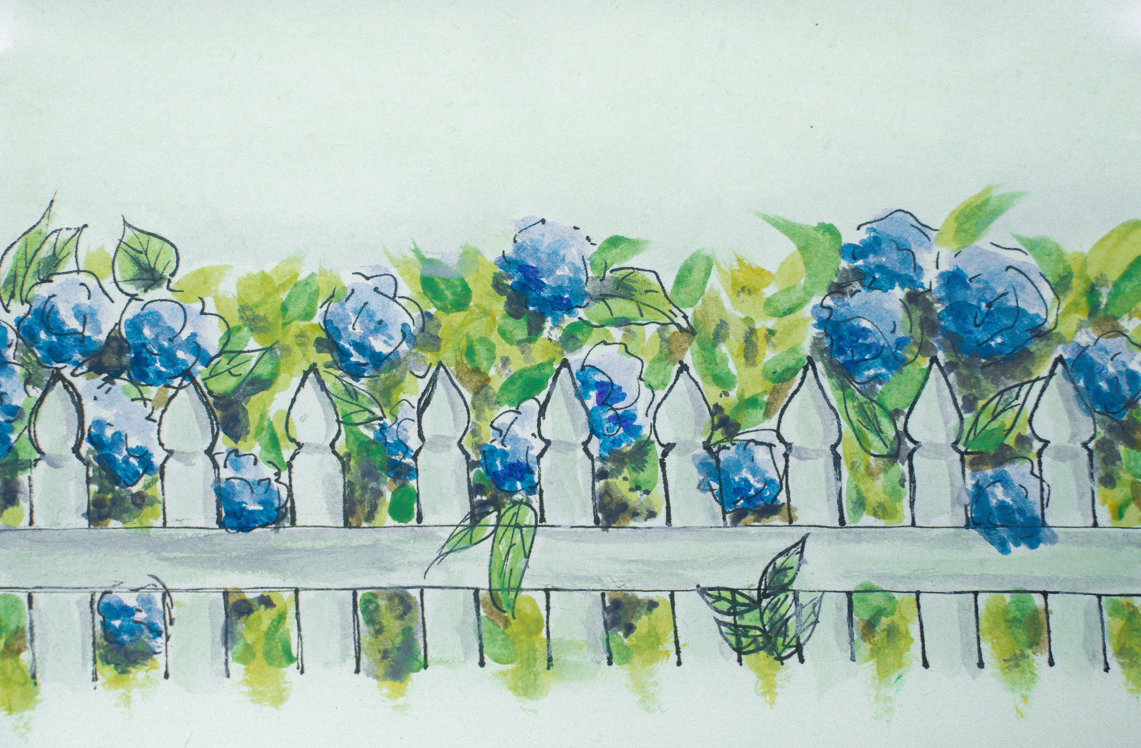 Hydrangea Garden