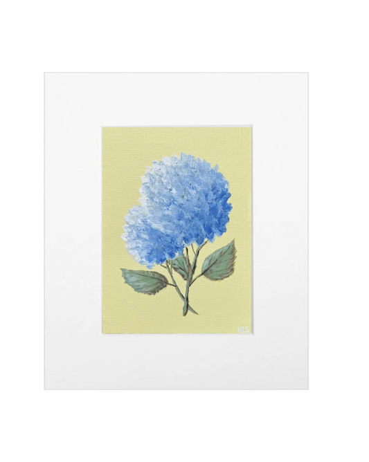 Blue Hydrangea