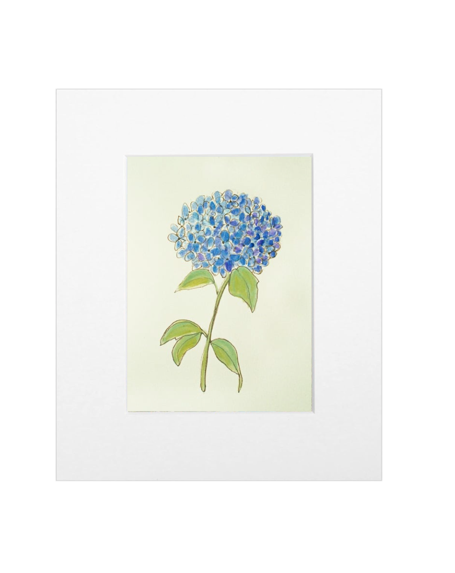 Single Hydrangea