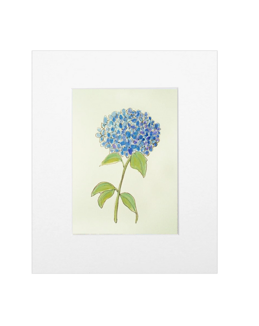 Single Hydrangea