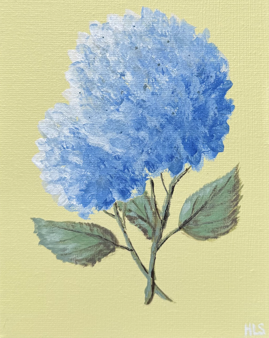 Blue Hydrangea